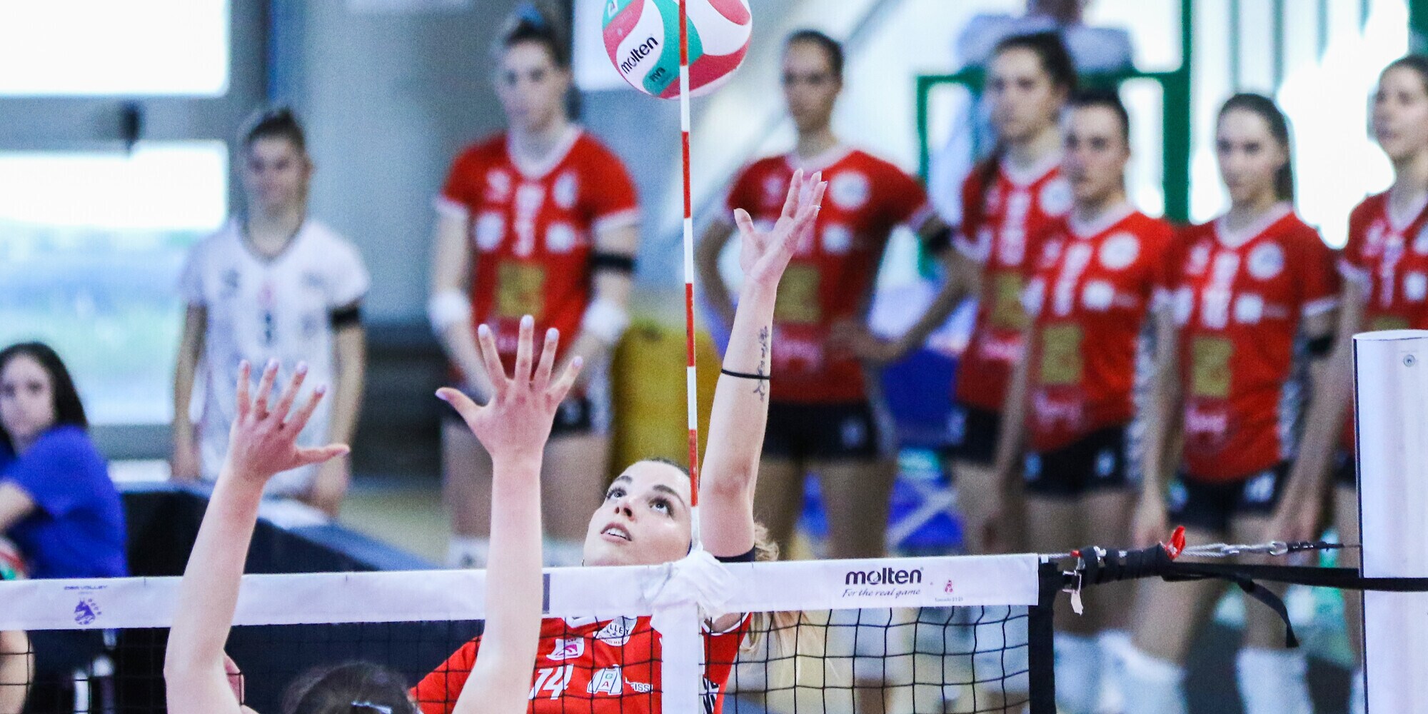 Cuneo riporta in Piemonte Alice Tanase