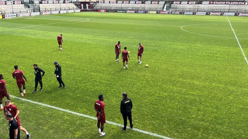 Toro, la missione Fiorentina parte dal Fila