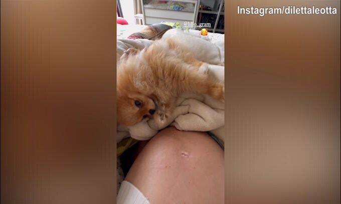 Il pancino di Diletta Leotta protetto da...Lillo!