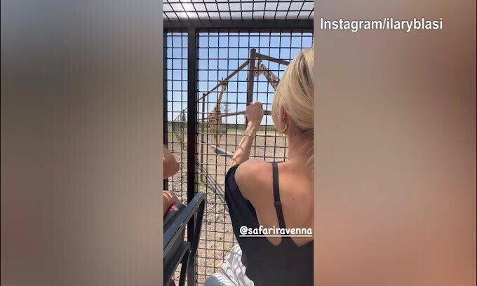 Venerdì al Safari per Ilary Blasi