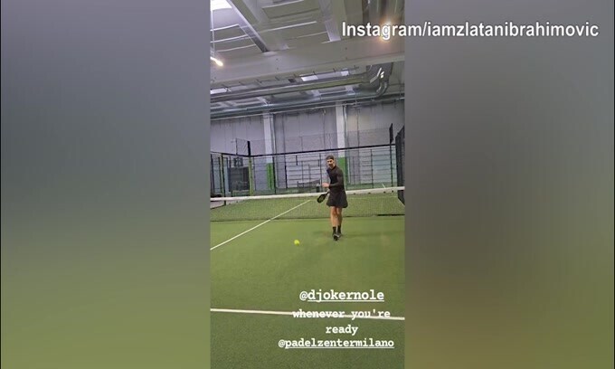 Padel, la sfida di Ibra a Djokovic: "Quando sei pronto..."