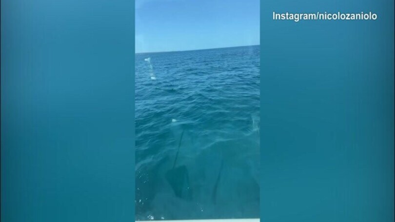 Zaniolo e l'indizio social: "Arrividerci, ti saluto e me ne vado!"