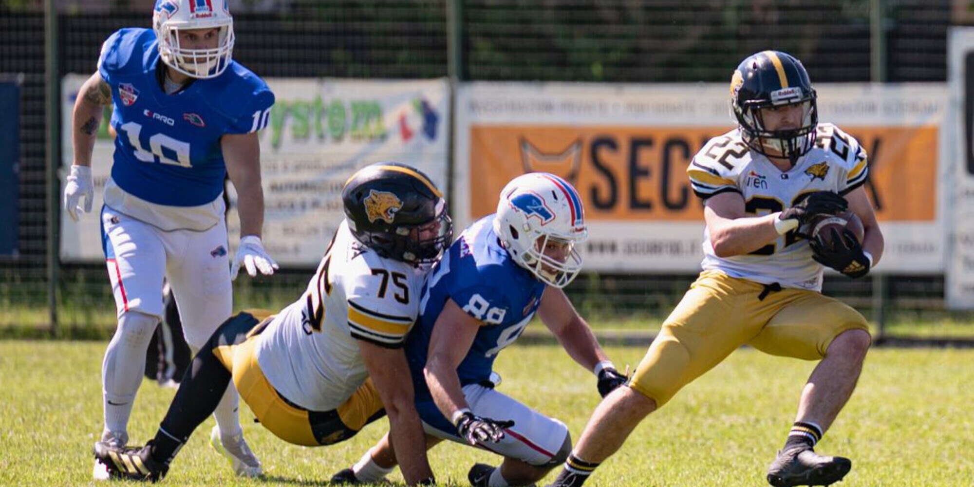 I Giaguari perdono la semifinale del Campionato Nazionale di Seconda Divisione contro le Aquile Ferrara