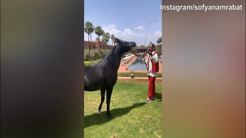 Giornata con il cavallo per Amrabat