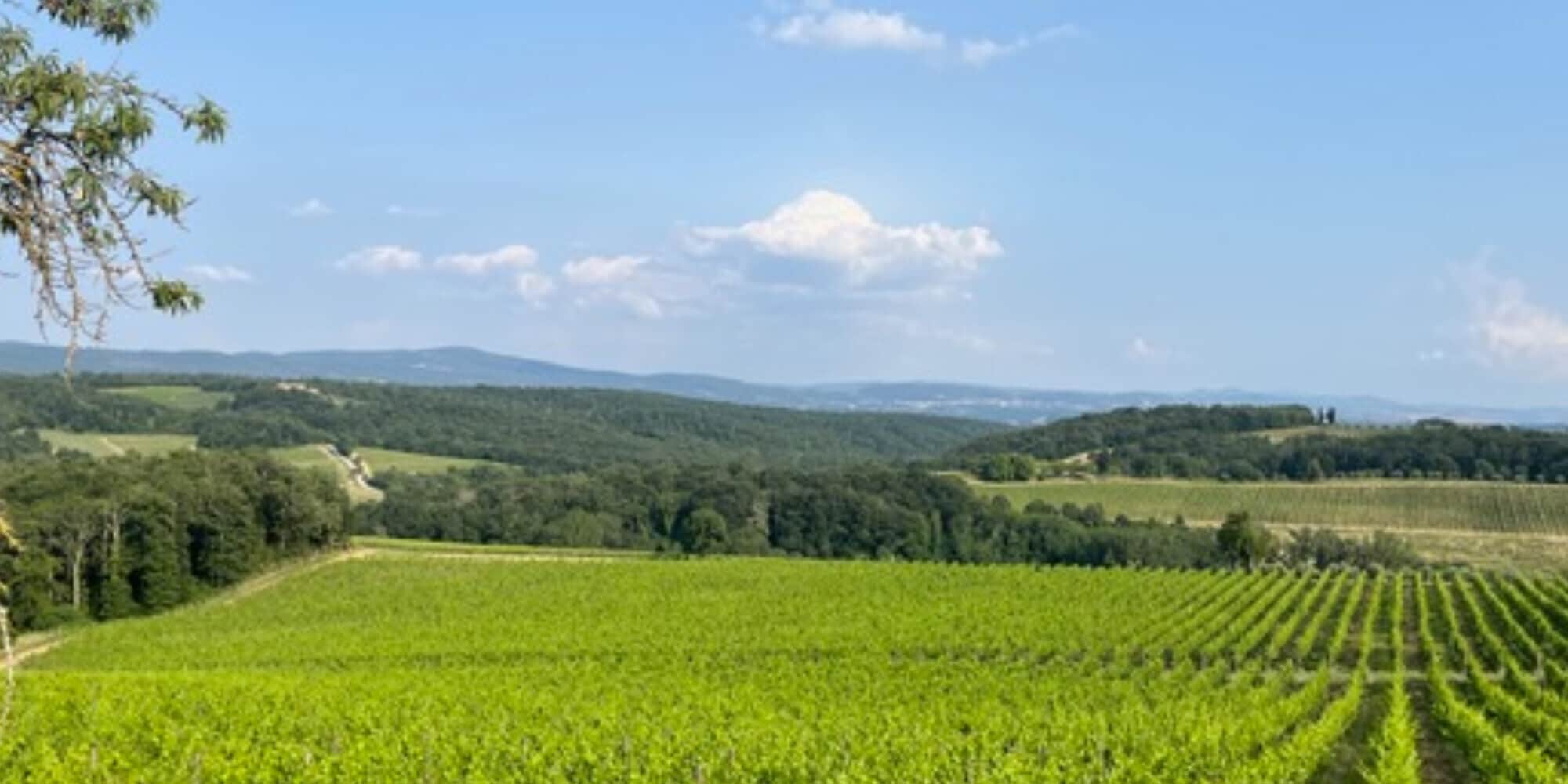 I nuovi i percorsi della 16^ EcoMaratona del Chianti Classico, tra strade bianche, cipressi, colline, castelli e poderi