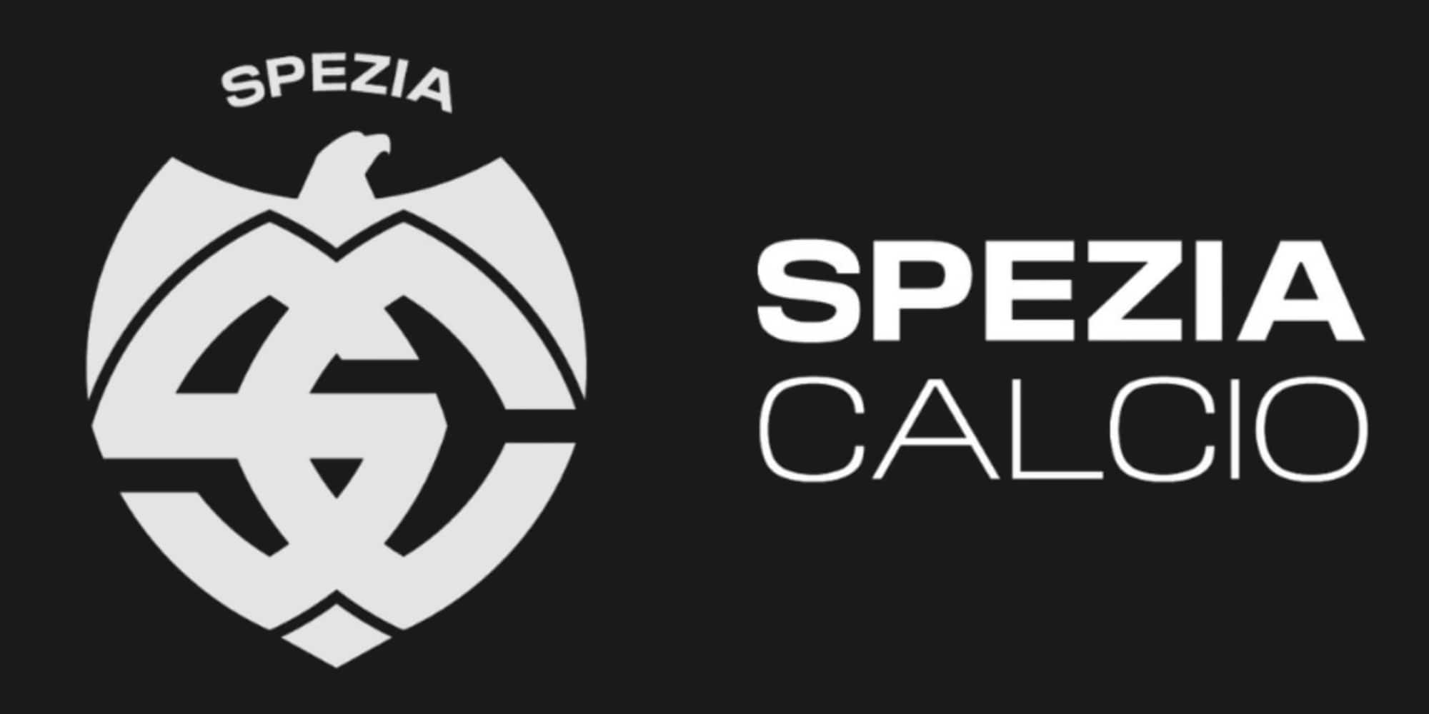 Spezia, il logo nuovo scatena le proteste: "Sembra una svastica"