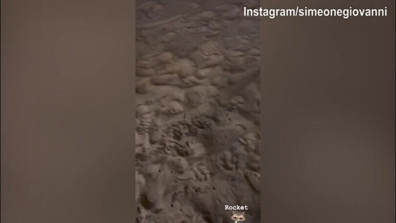 Vacanze per Giovanni Simeone: incontro ravvicinato con un...procione