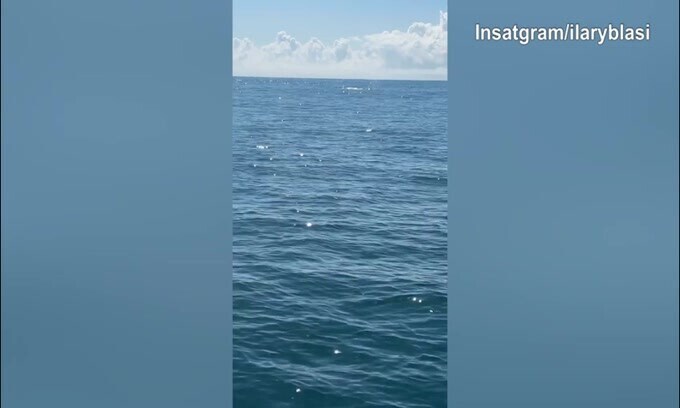 Ilary Blasi e Bastian Muller, vacanze in compagnia delle...balene!