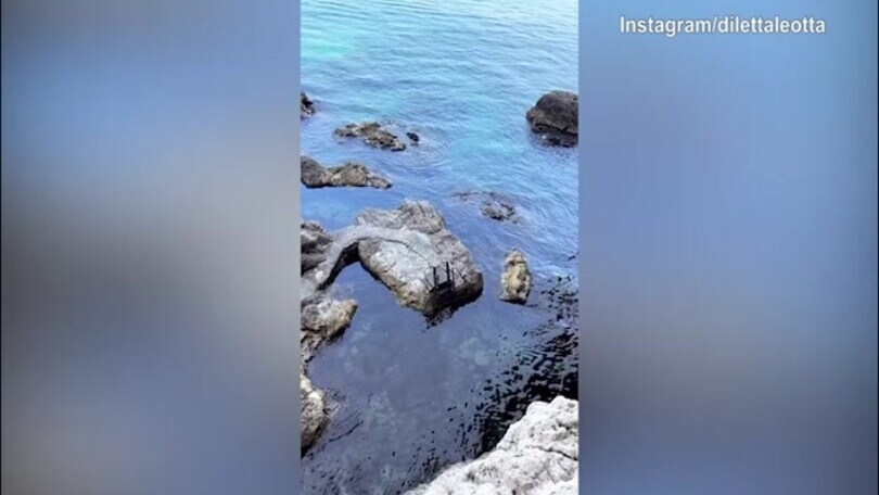 Diletta Leotta, relax all'ombra in una spiaggia