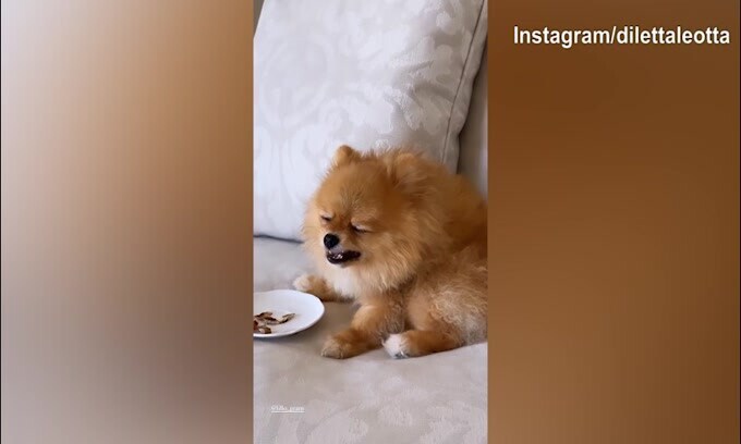 Lillo Leotta, buon appetito!