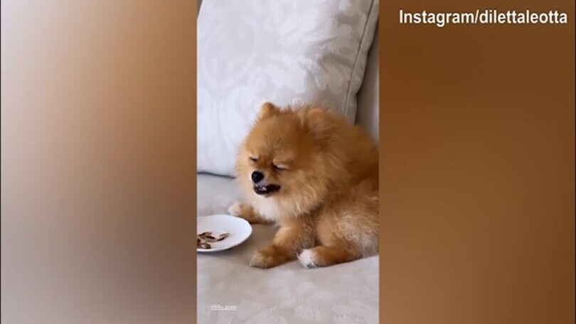 Lillo Leotta, buon appetito!
