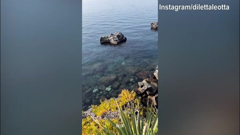 Diletta Leotta, tuffo in acqua: sembra una sirenetta...