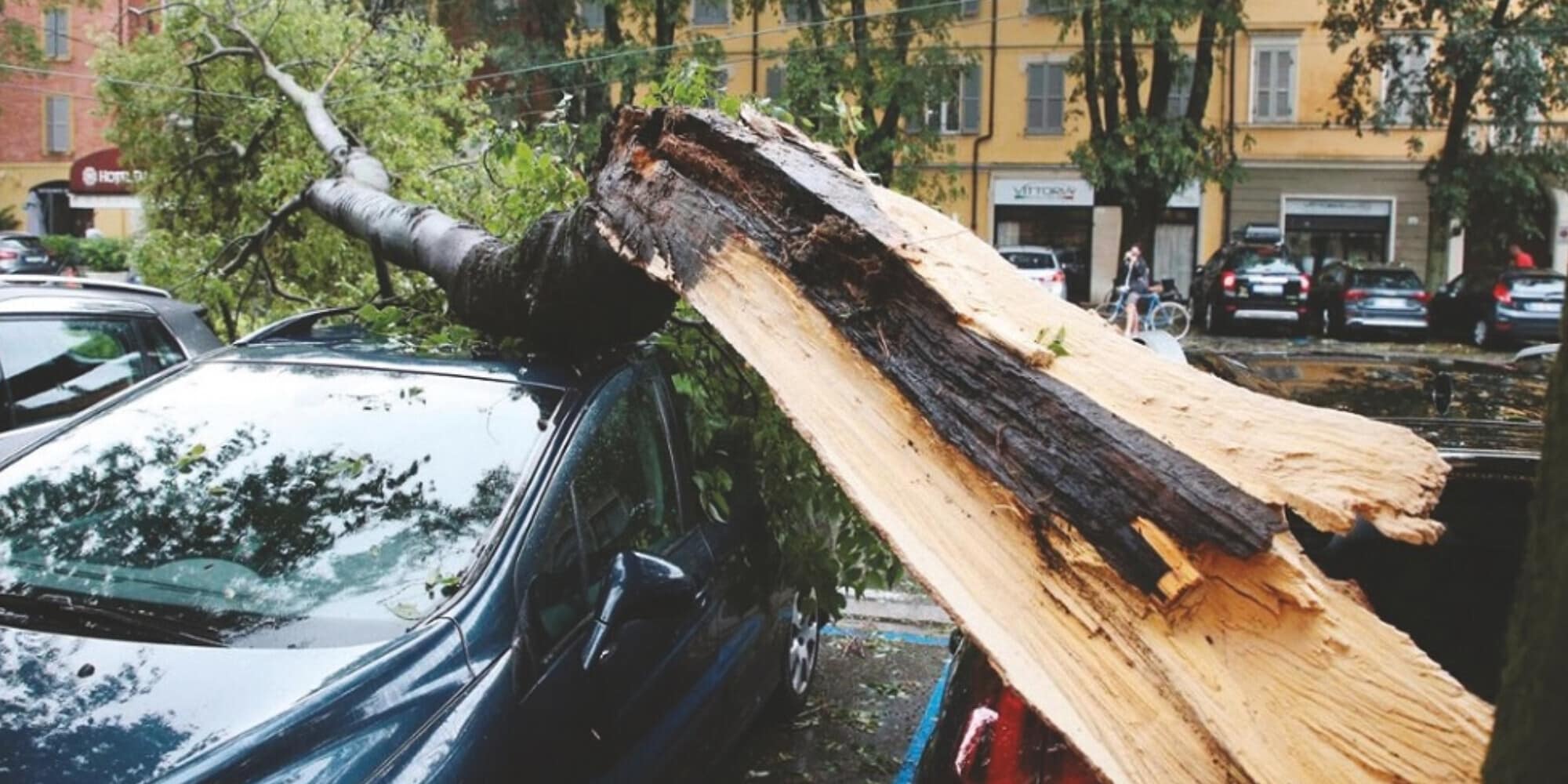Maltempo e polizze, che caos!