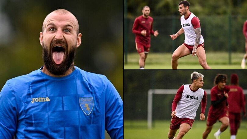 Milinkovic, linguaccia all'infortunio: Torino al lavoro in vista del Reims