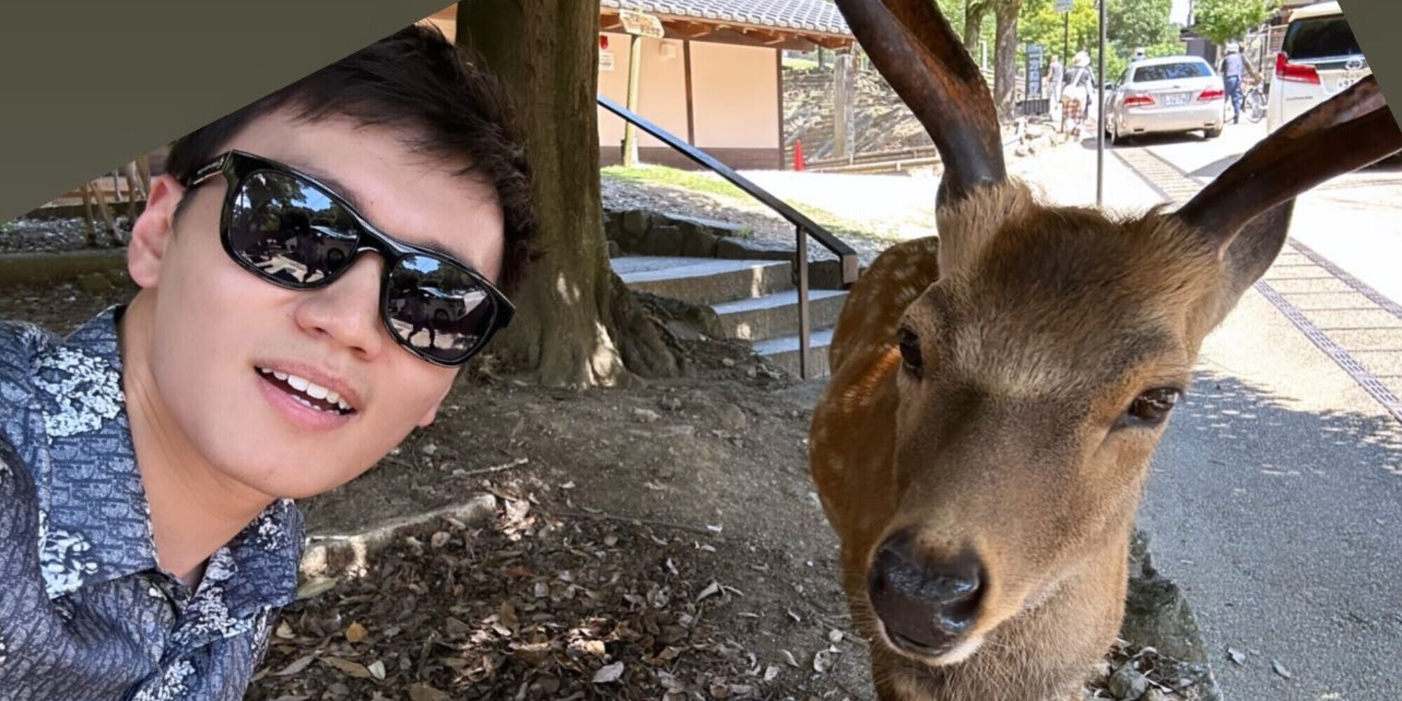Zhang e la foto con un cervo: tifosi scatenati, ironia sul mercato Inter