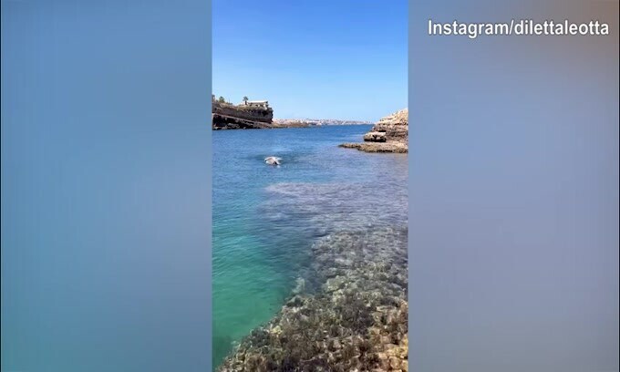 Diletta Leotta, splendida nuotata in mare