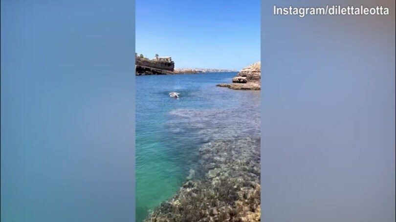 Diletta Leotta, splendida nuotata in mare