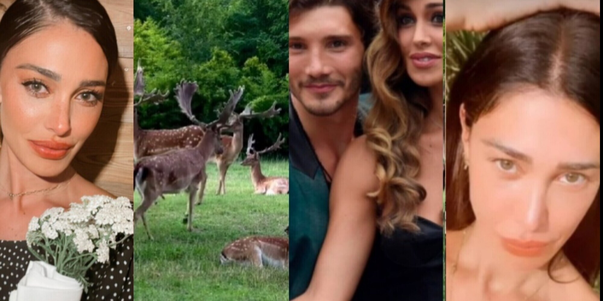 Belen sui social tra corna e cervi: autoironia o frecciata a De Martino?