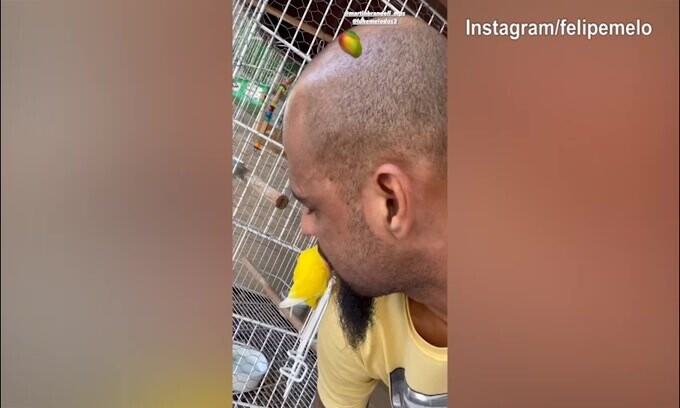 Felipe Melo, momenti di tenerezza con...il pappagallo