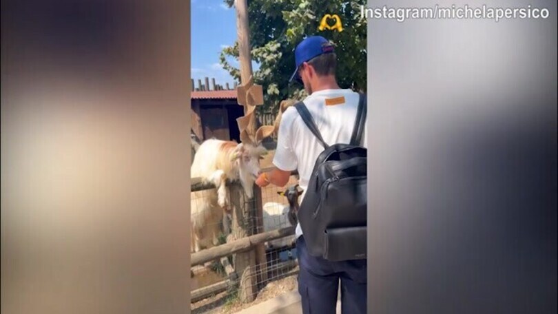 Juve: ecco Persico e Rugani, tra pecore e...capre