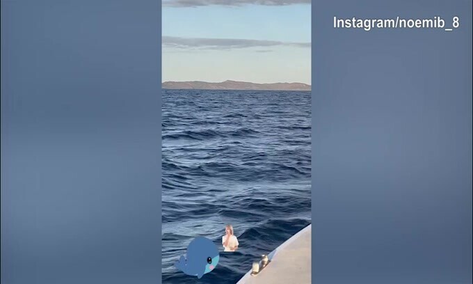 Noemi e Francesco Totti, giro in mare tra delfini e balene