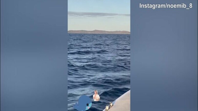 Noemi e Francesco Totti, giro in mare tra delfini e balene