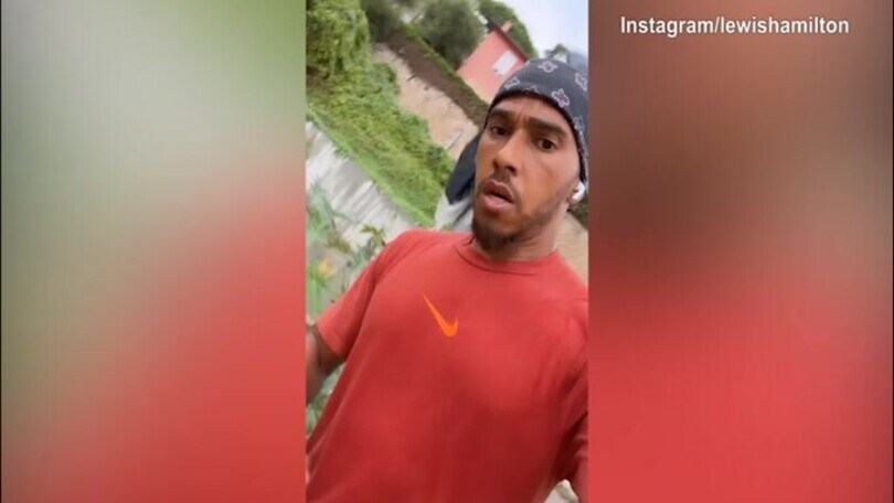 Formula 1, a Monza Hamilton cerca il riscatto