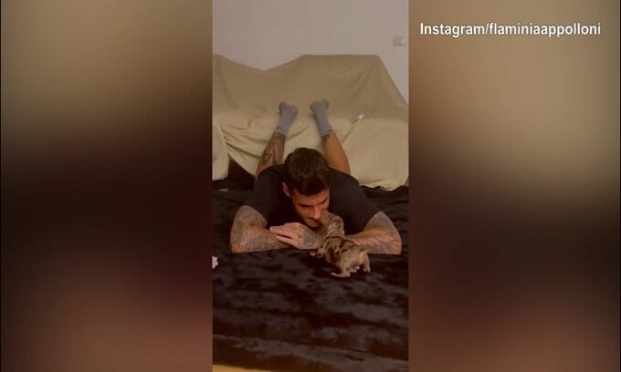 Scamacca 'coccolone', il dolcissimo video col cagnolino