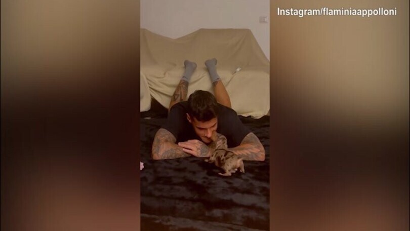 Scamacca 'coccolone', il dolcissimo video col cagnolino