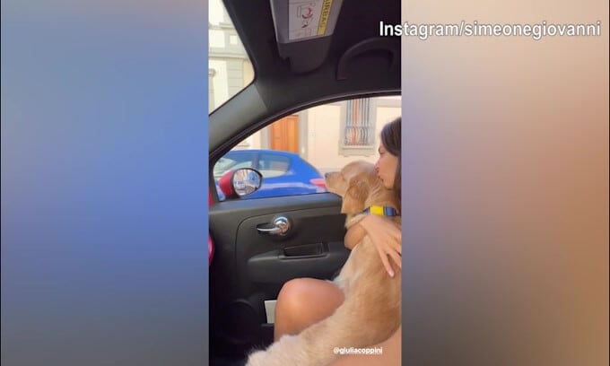 Simeone e la moglie in macchina con...il cagnolino!