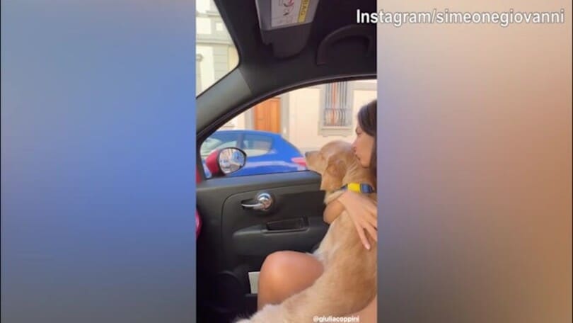 Simeone e la moglie in macchina con...il cagnolino!