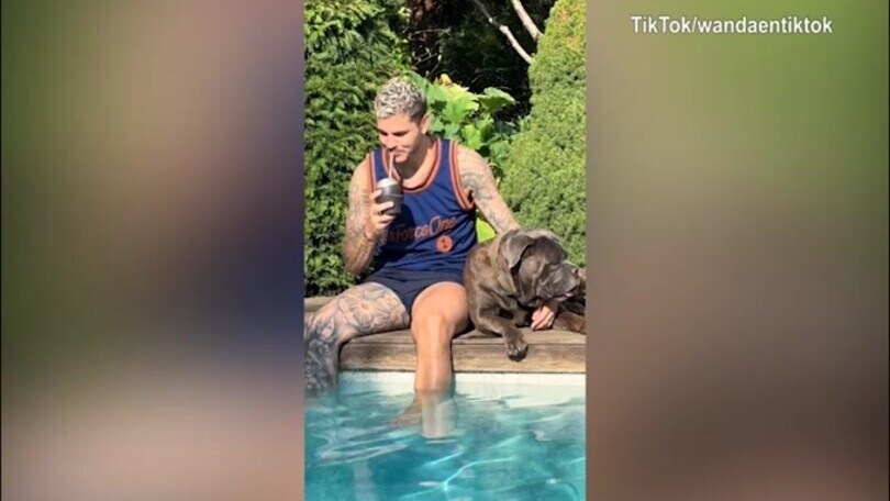 Piscina, mate e coccole: Icardi si rilassa