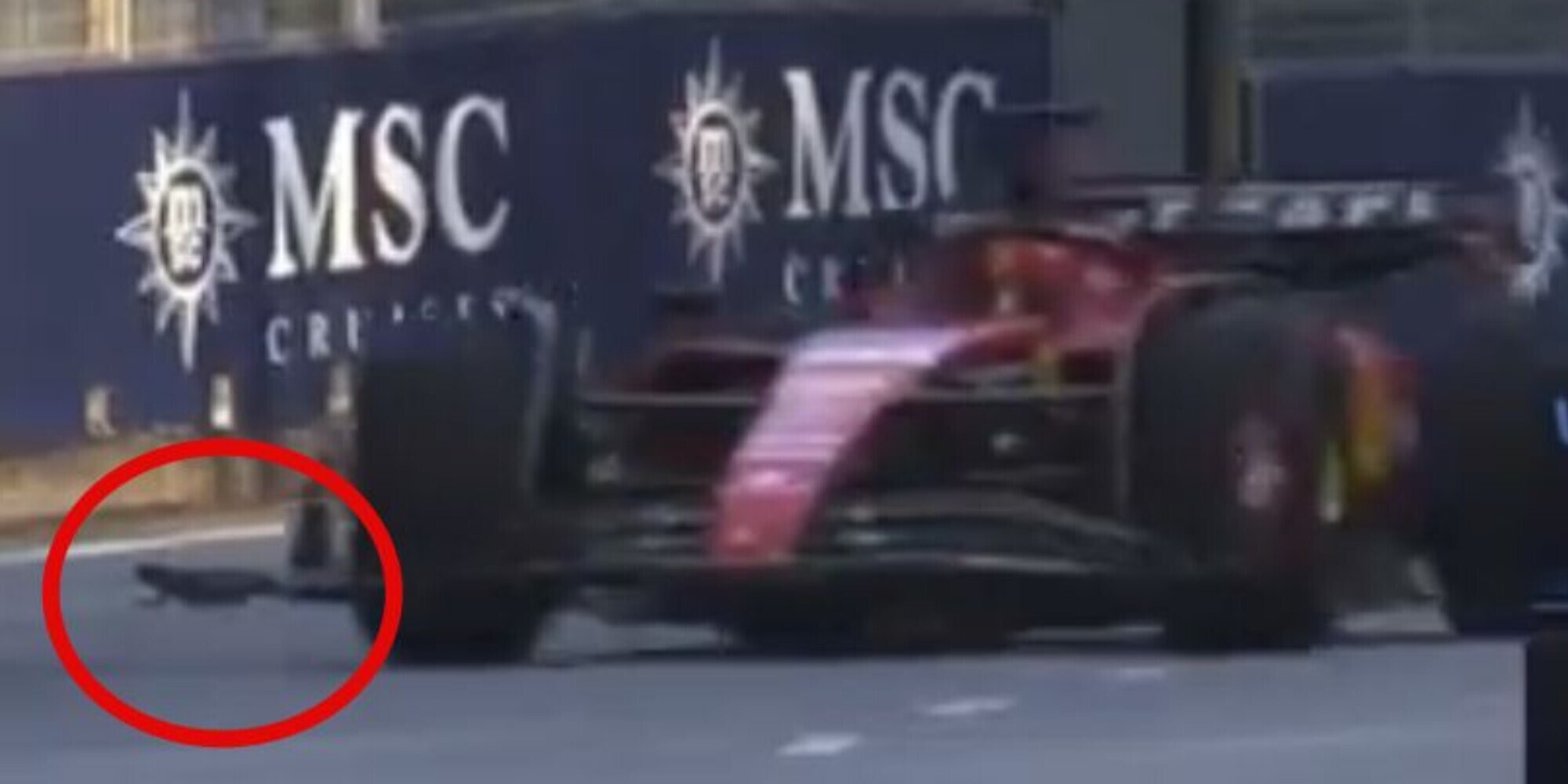 Animali fantastici, dove trovarli? In F1: ora anche l'iguana a Singapore