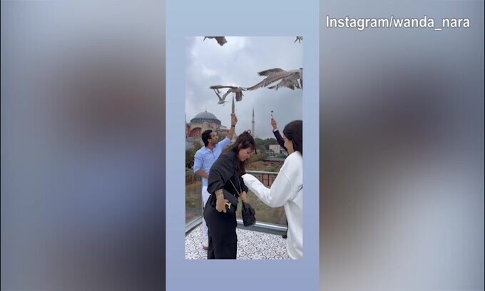 Uno stormo di uccelli attacca...Wanda e Zaira Nara