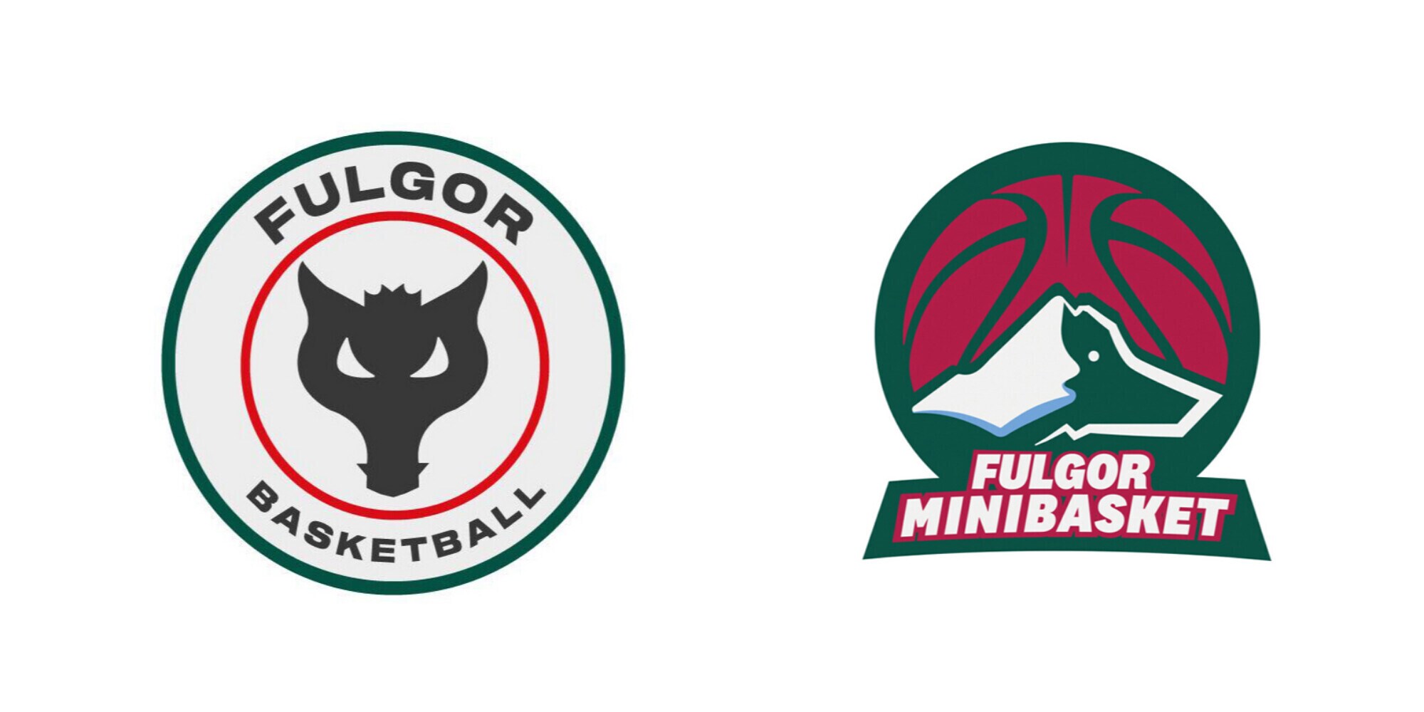 Fulgor Minibasket ospite al Parco Pallavicino