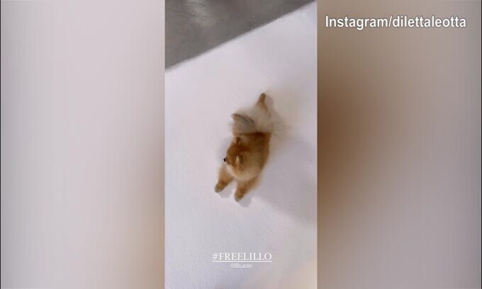 Lillo Leotta...bloccato su Instagram: Diletta lancia un messaggio