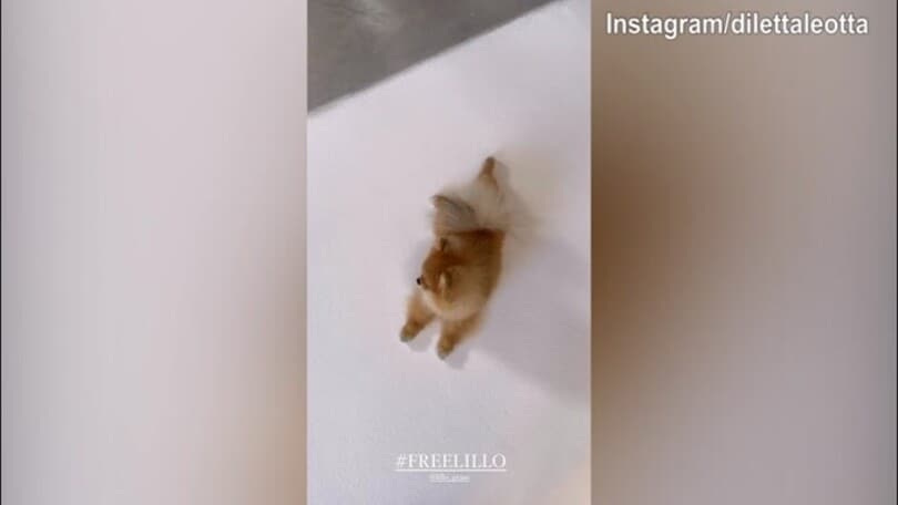Lillo Leotta...bloccato su Instagram: Diletta lancia un messaggio