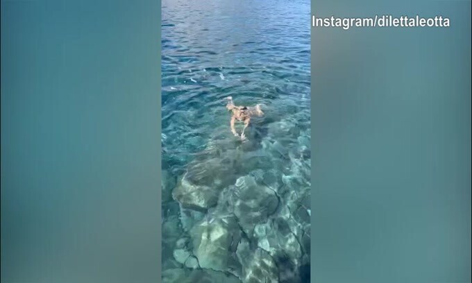 Diletta Leotta, nuotata nel mare della Sicilia