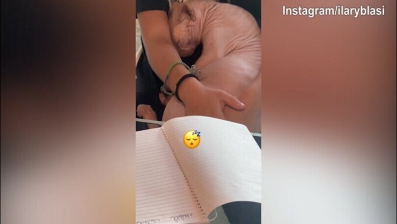 Alfio dorme, guai a svegliarlo...