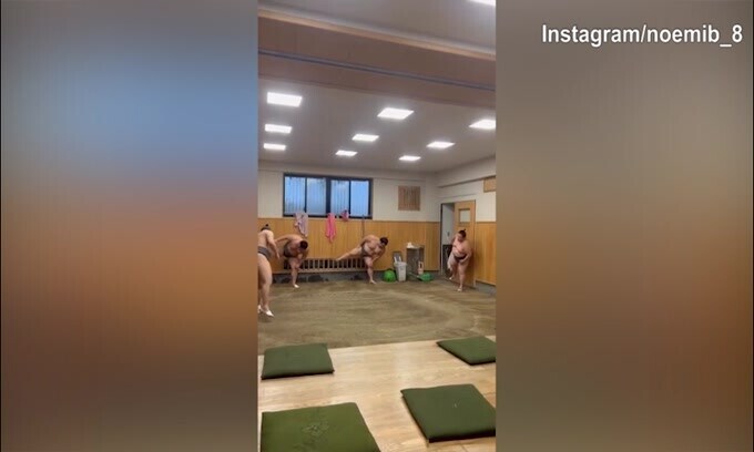 Sumo, ecco come si preparano i lottatori