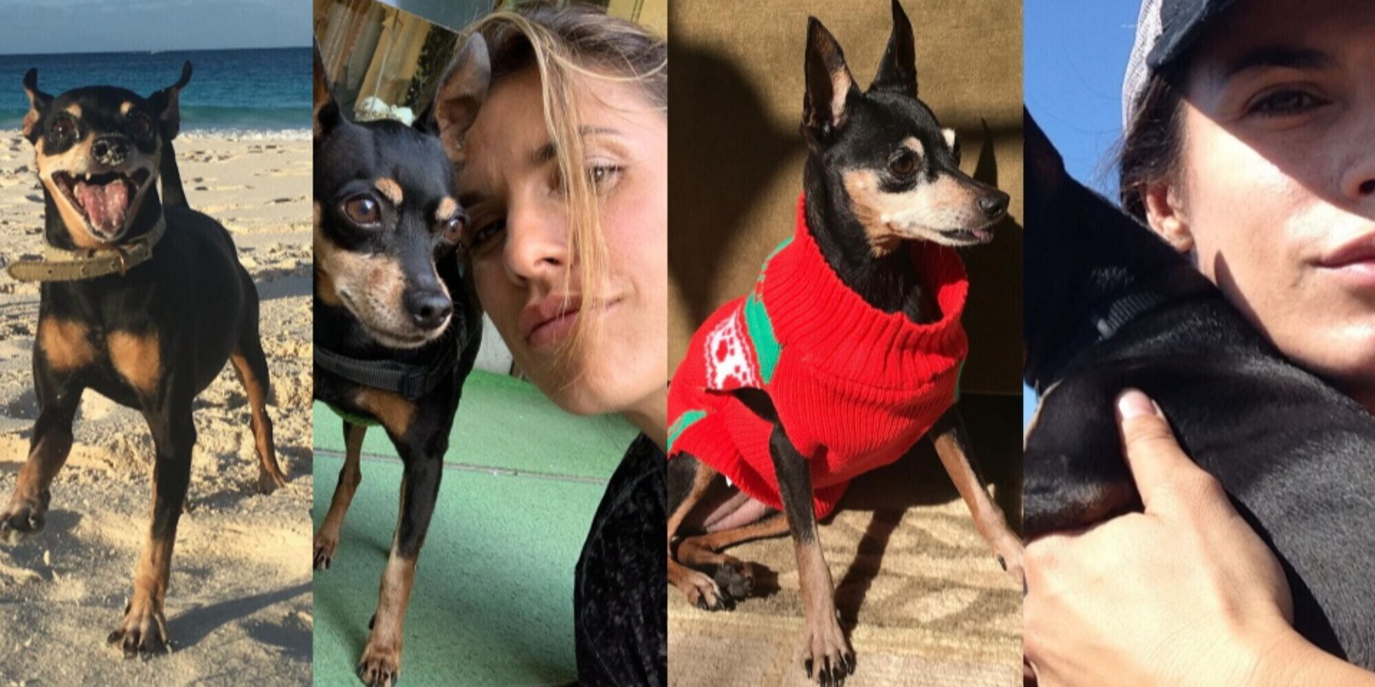 Elisabetta Canalis in lutto: dopo Piero, addio anche alla cagnolina Mia