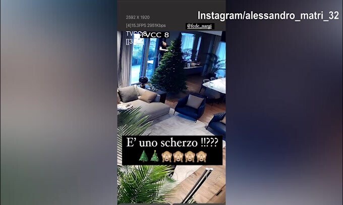 Matri non può crederci: Federica Nargi ha preprato l'albero di Natale...