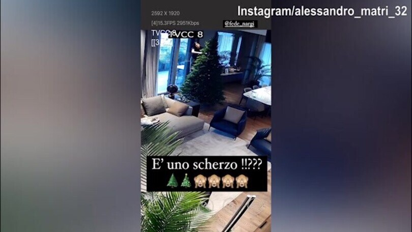 Matri non può crederci: Federica Nargi ha preprato l'albero di Natale...