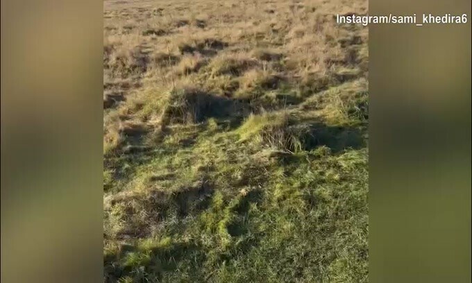 Ehi Juve, ti ricordi di Khedira ? Il tedesco va di corsa...