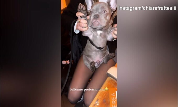Un ballerino a quattro zampe? Esiste...è il cane di Chiara Frattesi