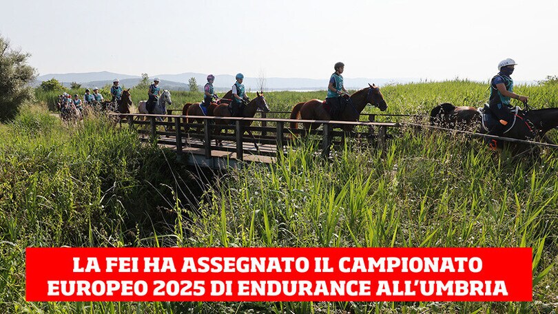 Endurance: ecco le assegnazioni per i prossimi eventi