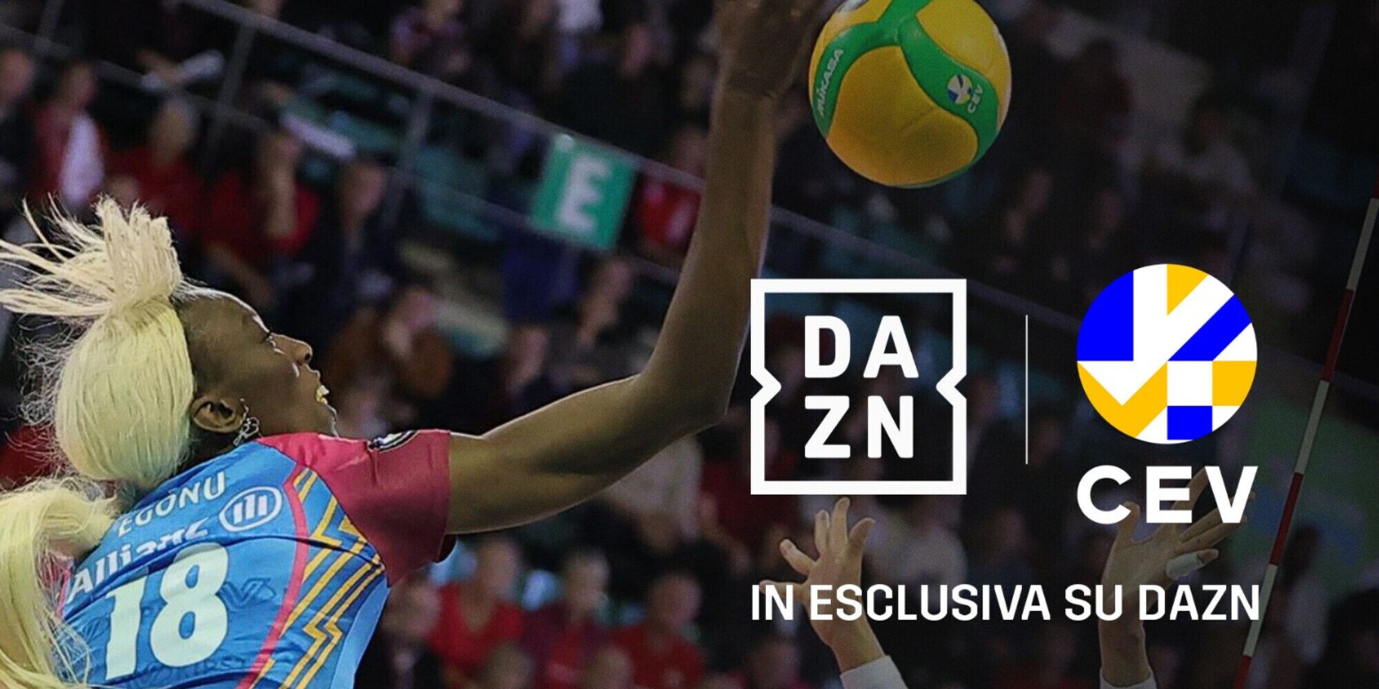 Anche la Champions League di volley maschile e femminile su Dazn