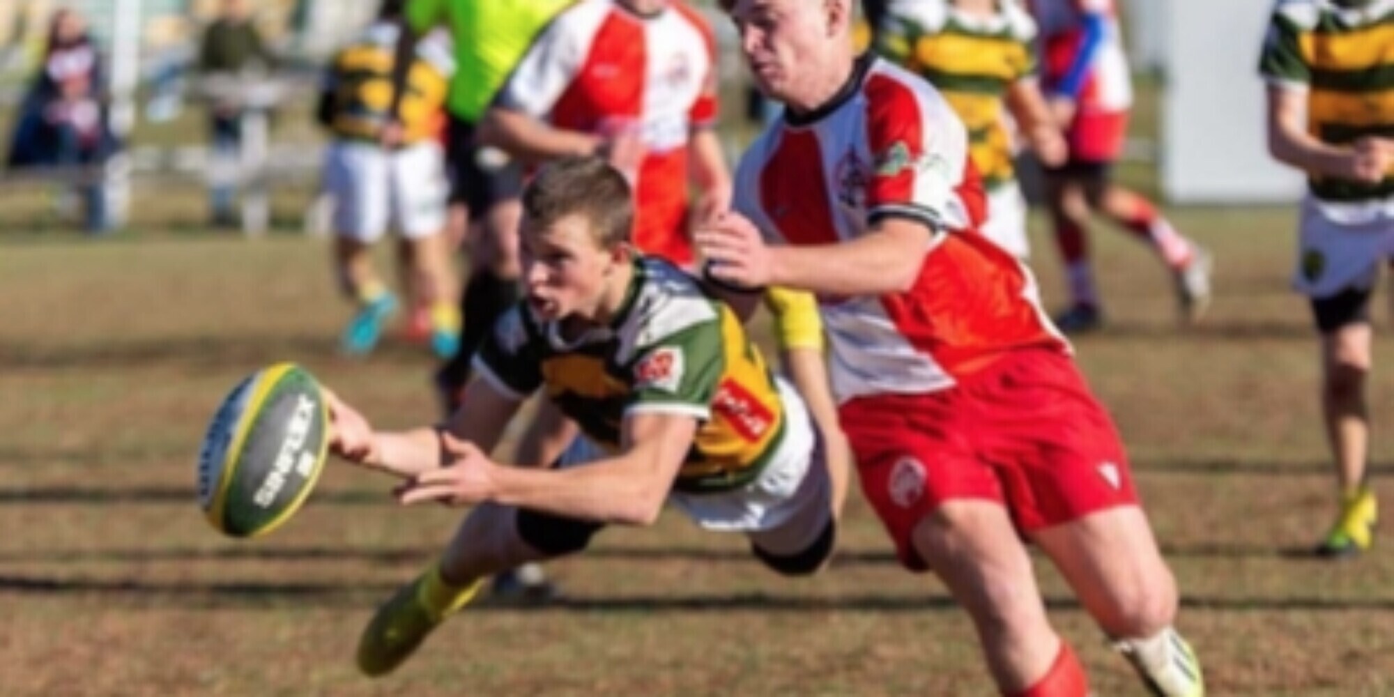 Biella Rugby: tutti i risultati del weekend gialloverde