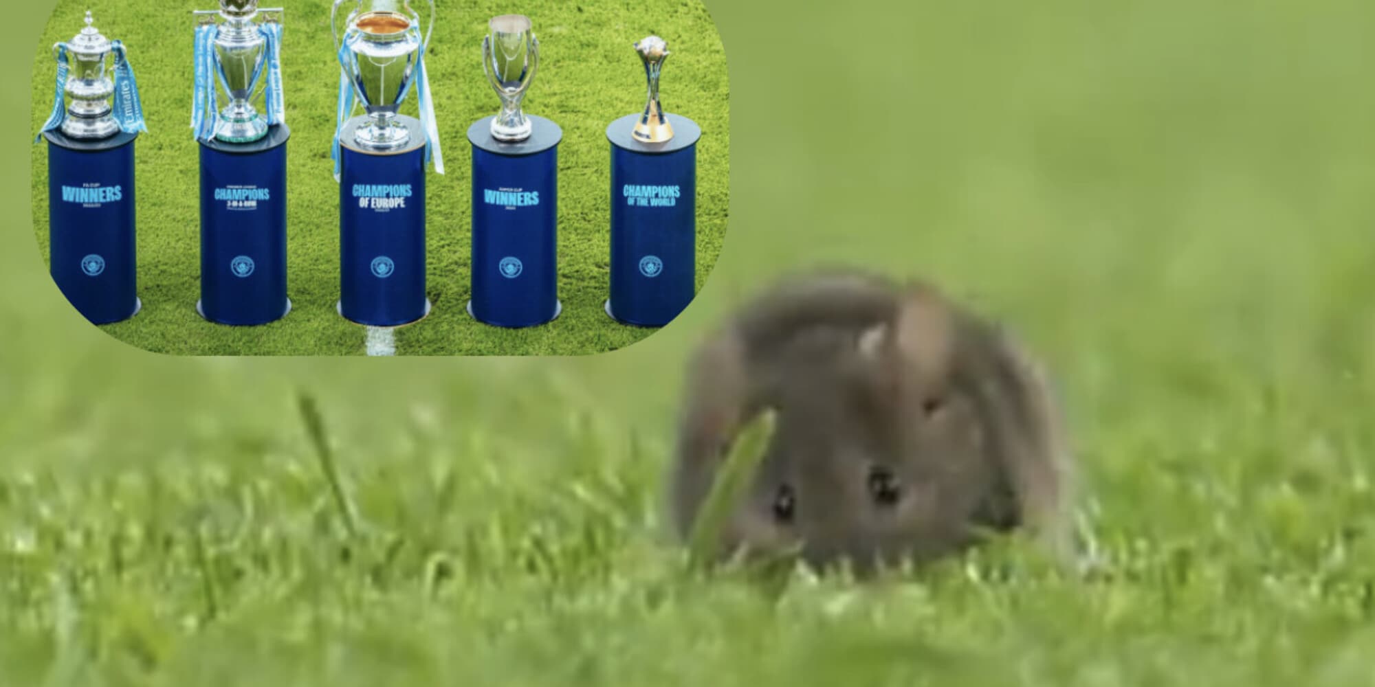 Ratto alla festa City con la Champions: corsa e disgusto in campo
