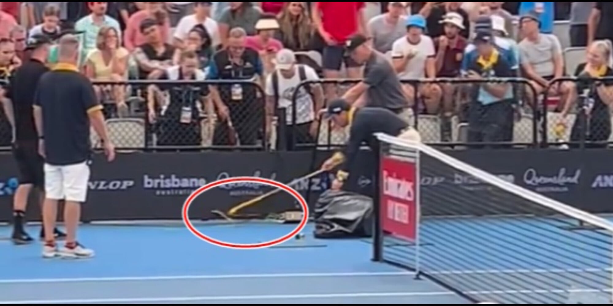 Allucinante a Brisbane: serpente mortale in campo, paura Thiem